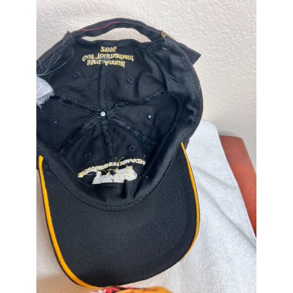 Assorted Baseball Caps Bundle - Sky Box 17 Taz Benchwarmers Babco Construction - Picture 8 of 10